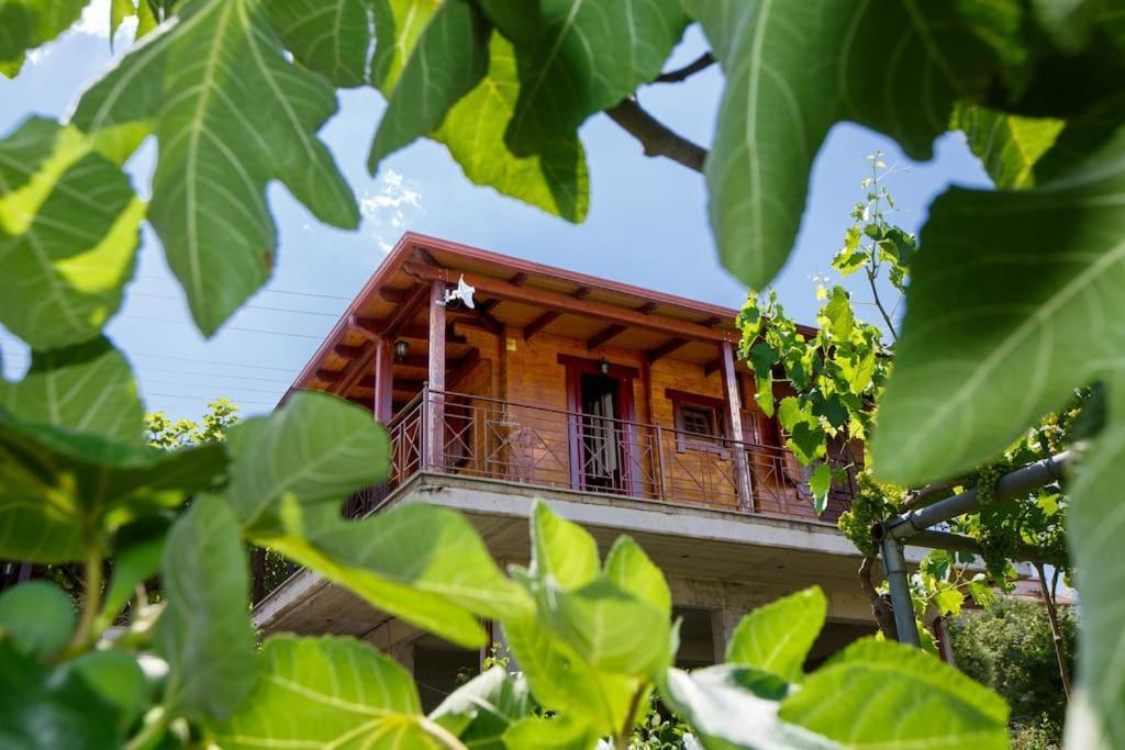 Wooden House In Apartment