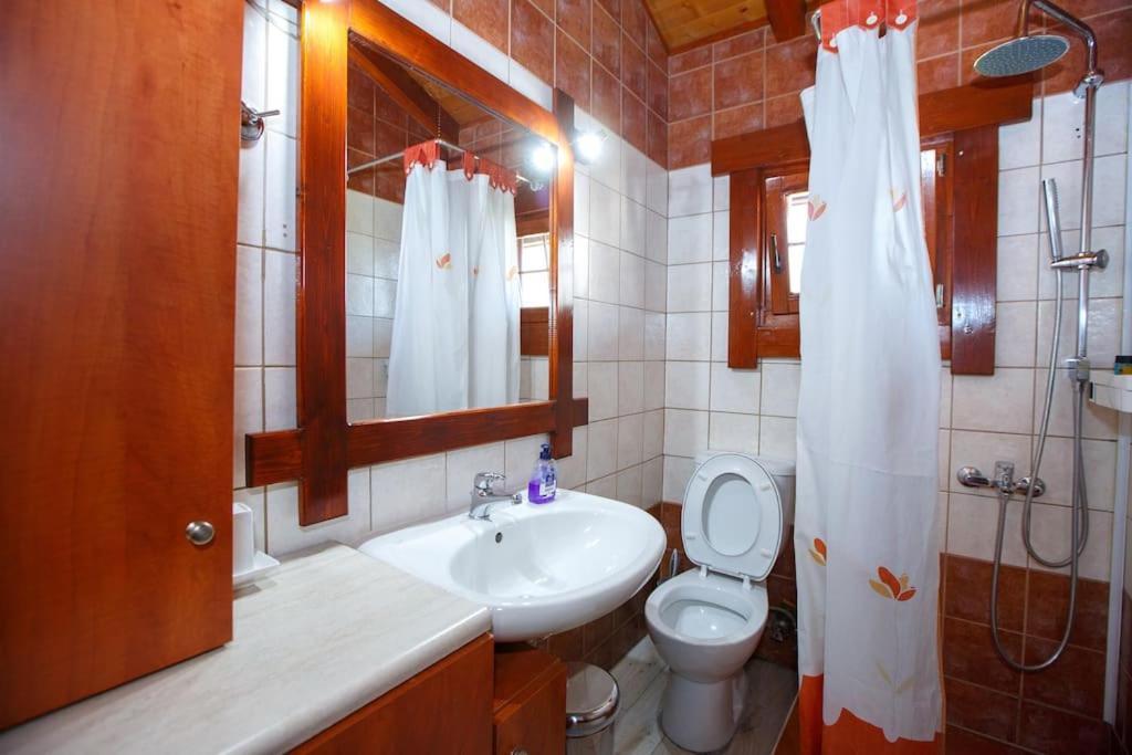 Apartment Wooden House In Ioannina